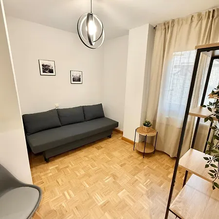 Apartment Vive Viii